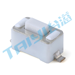 3.0*6.0&nbsp;輕觸T1-A3605