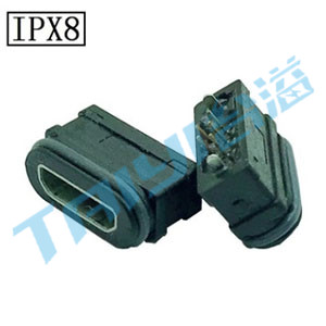TY-MS-FSP-P-1