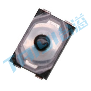 T1-A2819